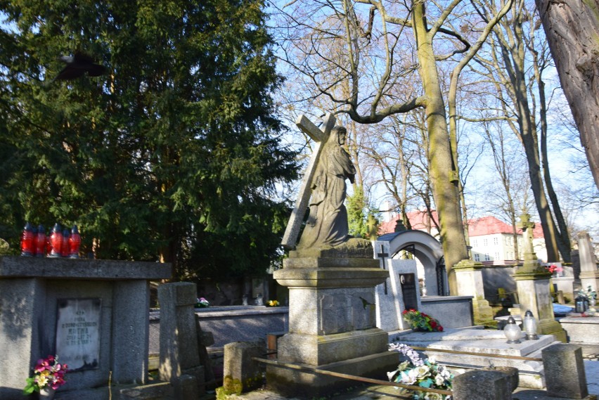 Ptaki niszczą zabytkowy Cmentarz Katedralny w Sandomierzu. Sprawcami są gawrony, wypłoszone z... sąsiedniego parku