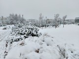Zasypało Łódź! Pierwszy śnieg w tym sezonie - wszędzie biało