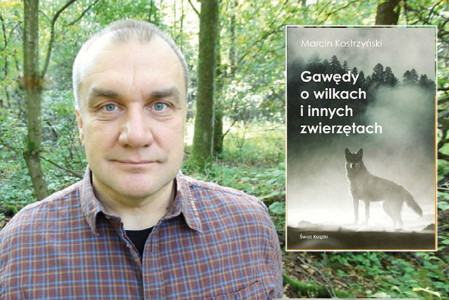 Marcina Kostrzyński promować „Gawędy o wilkach i innych zwierzętach” będzie w Bydgoszczy 9 lutego. To spotkanie nie tylko dla miłośników przyrody