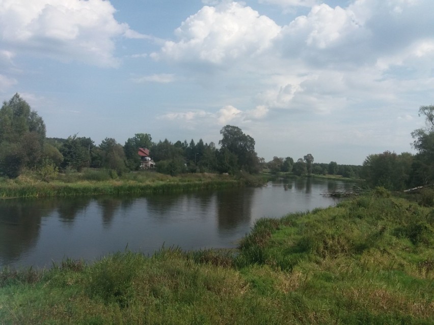 Kraina skał, lasów i wód. 40 lat Załęczańskiego Parku...