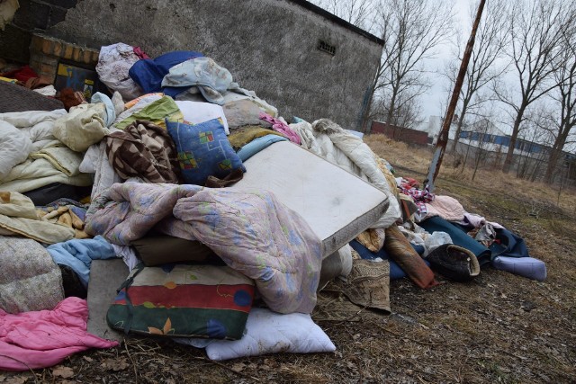 Ktoś, kto wyrzucał te śmieci miał na rękach gumowe rękawiczki, które rzucił w pobliżu sterty