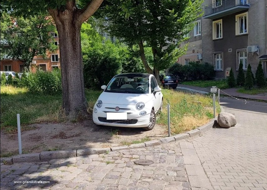Samochód prezydent Gdańska zaparkowany na trawniku. Na...