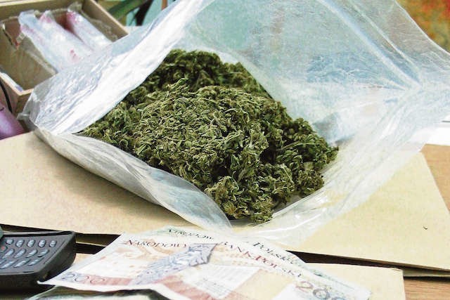 Śledztwo w tej sprawie zaczęło się od kontrolowanego zakupu marihuany, dokonanego przez policję