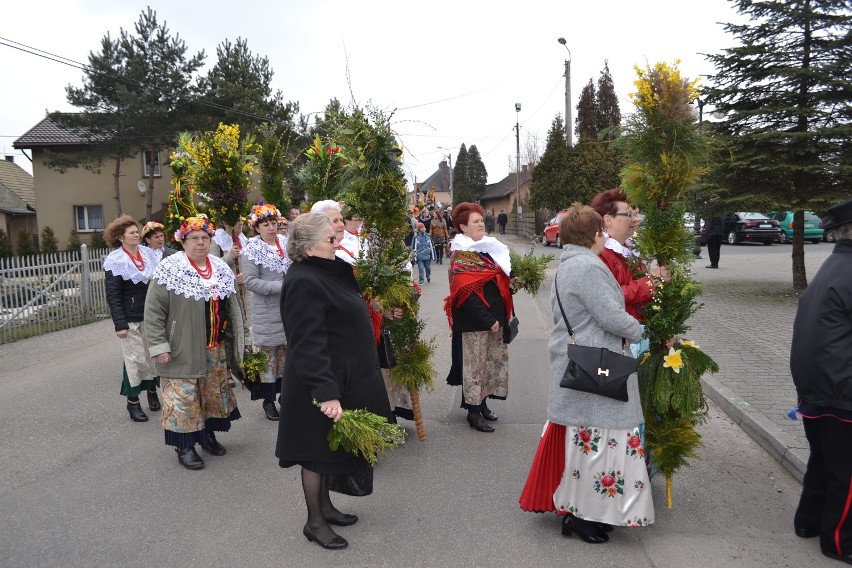 Piękne, ponad dwumetrowe palmy przygotowali mieszkańcy...