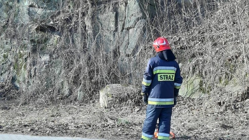 Skały i drzewa osunęły się na drogę [ZDJĘCIA]