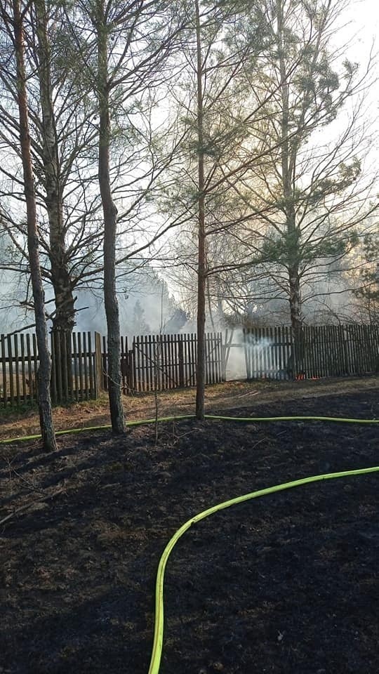 Duży pożar w gminie Michałowo. Spłonęła część lasu i 13...