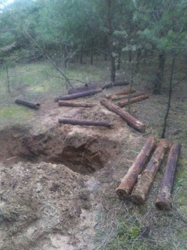 11 pocisków artyleryjskich pochodzących najprawdopodobniej z czasów II wojny światowej, zostało odnalezionych w lesie w gminie Jaświły.