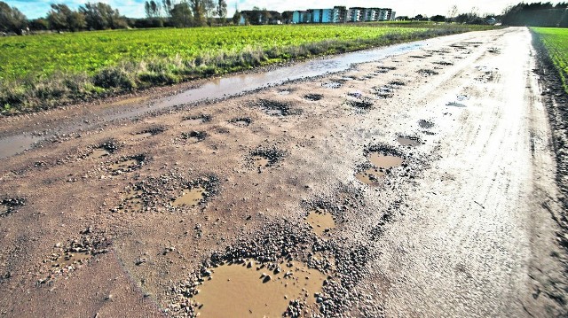 Ulica Żytnia to jeden z wielu przykładów dróg gruntowych w Koszalinie, które wymagają naprawy. O oświetleniu czy chodnikach nie wspominając