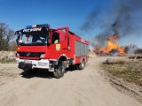 Duży pożar trocin pod Strzelinem. Zagrożony jest las