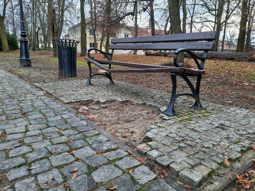 Zniszczona ławka i znikający bruk z parku dzikowskiego w Tarnobrzegu. Ktoś kradnie kostkę granitową? (ZDJĘCIA)
