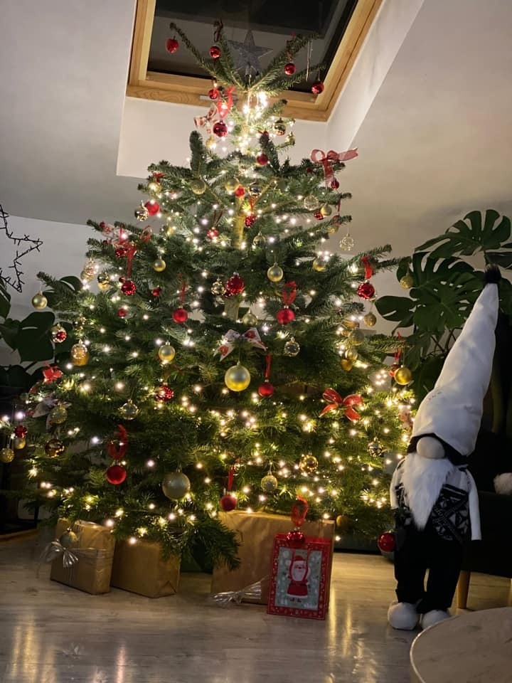 Najpiękniejsze słupskie drzewka bożonarodzeniowe