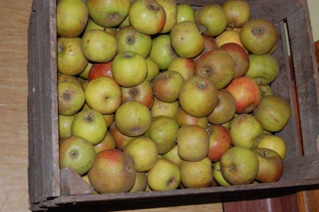 Wielkie rozdawanie jabłek już 22 stycznia w Chwaszczynie