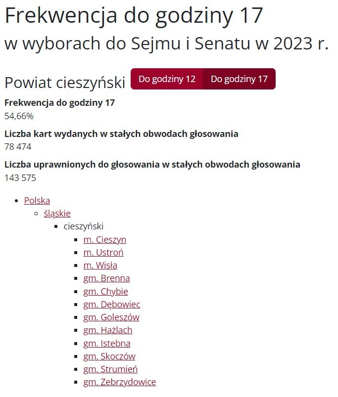 Wybory 2023 - frekwencja w województwie śląskim na godzinę 17