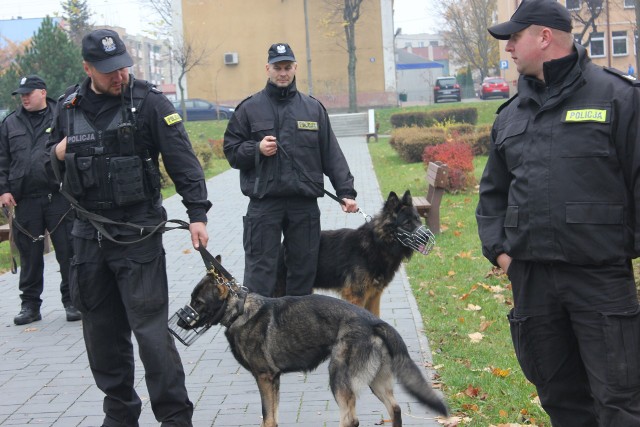 Policyjne psy pod okiem funkcjonariuszy z trzech komend powiatowych ćwiczyły swoje umiejętności w "Parku Wolności" w Grajewie.