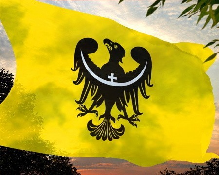 Flaga województwa dolnośląskiego według nowego projektu. Na żółtym tle czarne godło.
