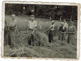 Tak kiedyś wyglądało życie na wsi. Wiśniowa i okolice [ZDJĘCIA]