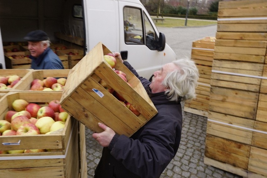 Wrocław: 20 ton jabłek do rozdania (ZDJĘCIA)