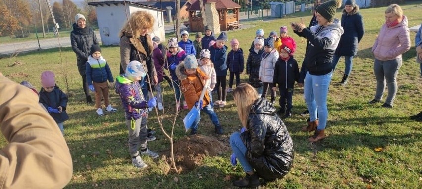  Przedszkolaki i uczniowie z gminy Słupia Konecka sadzili drzewa [ZDJĘCIA]