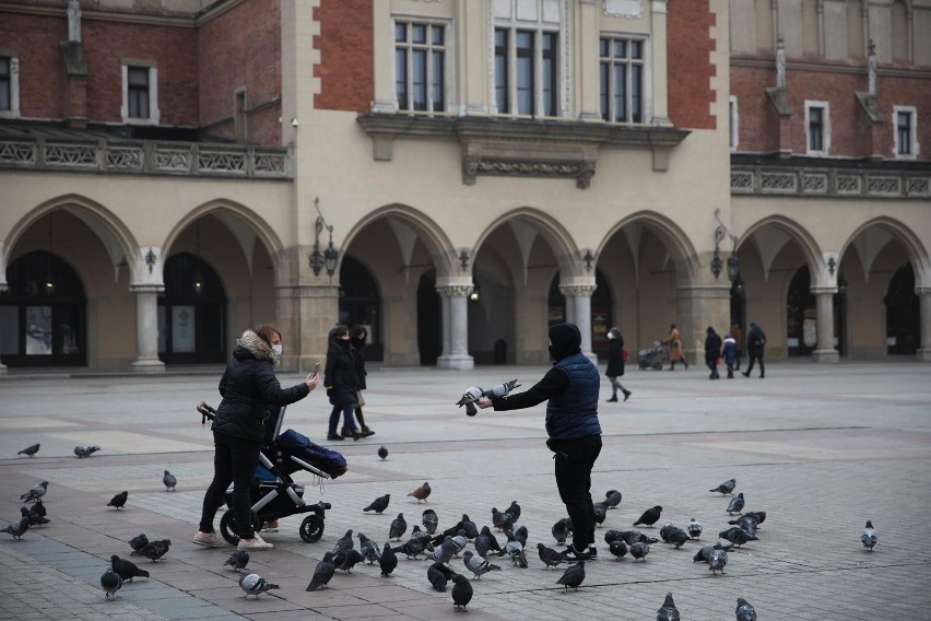 Kraków. Niecodzienna interwencja strażników miejskich. Kobieta nosiła na Plantach w reklamówkach... gołębie