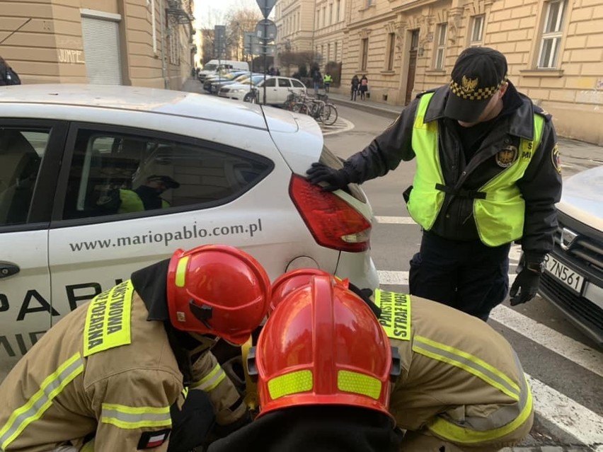 Nieśmieszny psikus. Straż Miejska ofiarą żartownisia