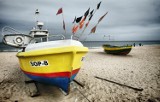 Na Bałtyku jest dorszowa katastrofa. Rybacy ogłosili protest