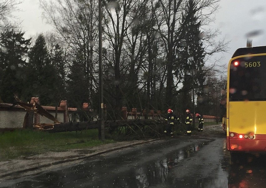 Wichura na Dolnym Śląsku. Jest śmiertelna ofiara wiatru (WASZE ZDJĘCIA)