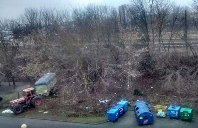 PKP wycina drzewa na Leśnej Dolinie. Mieszkańcy protestują