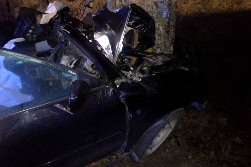 Audi uderzyło w drzewo. Kierowca był zakleszczony w pojeździe (zdjęcia)