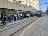 Wielka kolejka ludzi w centrum Poznania. Na co czekają? 