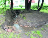 Mieszkańcy osiedla na Retkini wykopali  sobie  strumień