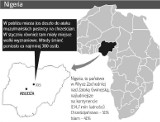 Setki pomordowanych na nigeryjskim pograniczu muzułmańsko-chrześcijańskim