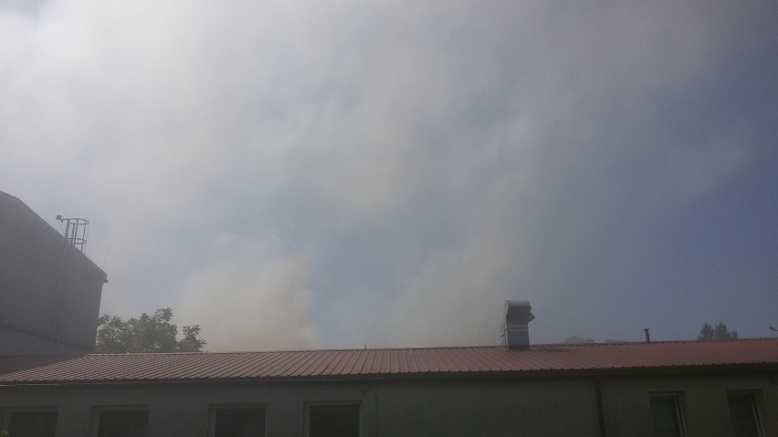 Pożar w Chorzowie. Pali się hala przy Michałkowickiej