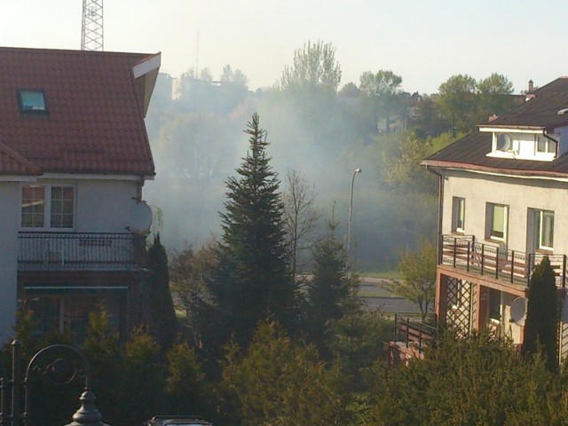 Pożar łąk w okolicy ul. 4 Marca strażacy ugasili około godziny 17.30.