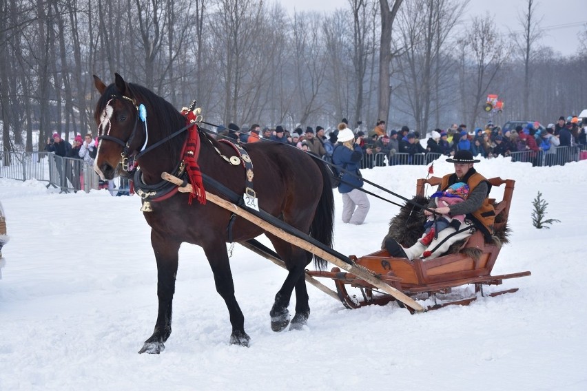 Parada Gazdowska 2019 - Biały Dunajec