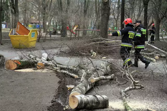 Strażacy usuwają resztki połamanych przez wiatr drzew