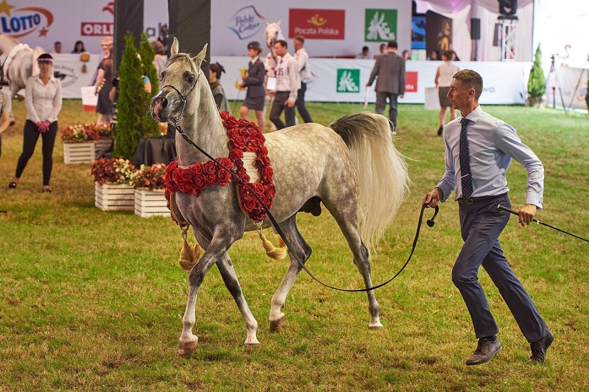 Pride of Poland 2021. Znamy pierwsze szczegóły dotyczące tegorocznej imprezy w Janowie Podlaskim