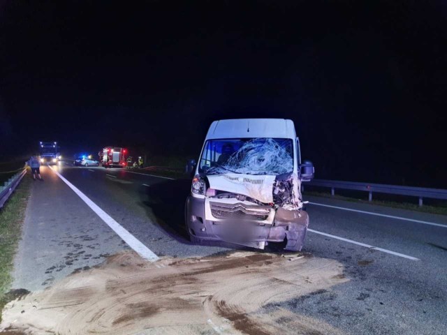 Zderzenie busa z jeleniem na DK 94 w Jadownikach k. Brzeska