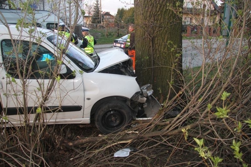 Uderzenie autem w pomnik przyrody w Kielcach
