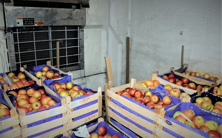 Afgańczycy wjechali do Polski ukryci w transporcie jabłek. Na Podkarpaciu zatrzymała ich straż graniczna