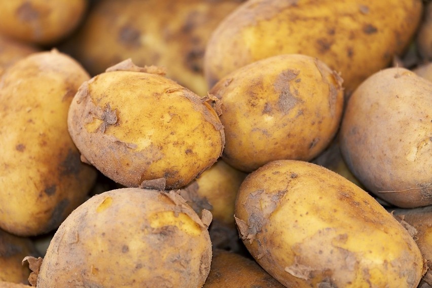 Ceny ziemniaków są najwyższe od pięciu lat. Z reguły po...
