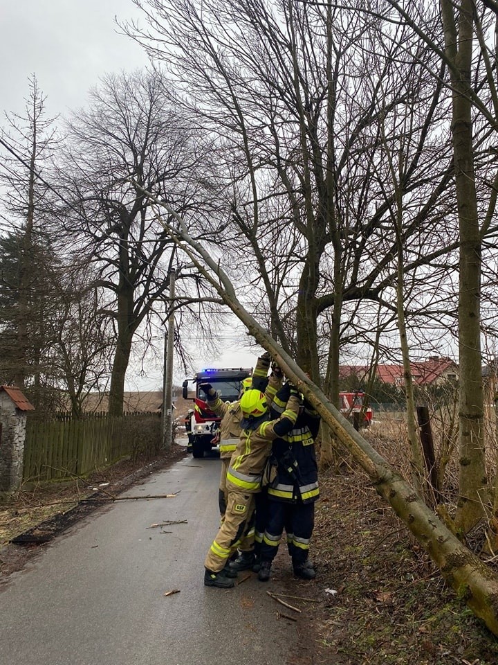 Interwencje strażaków podczas wichury w podkrakowskich...