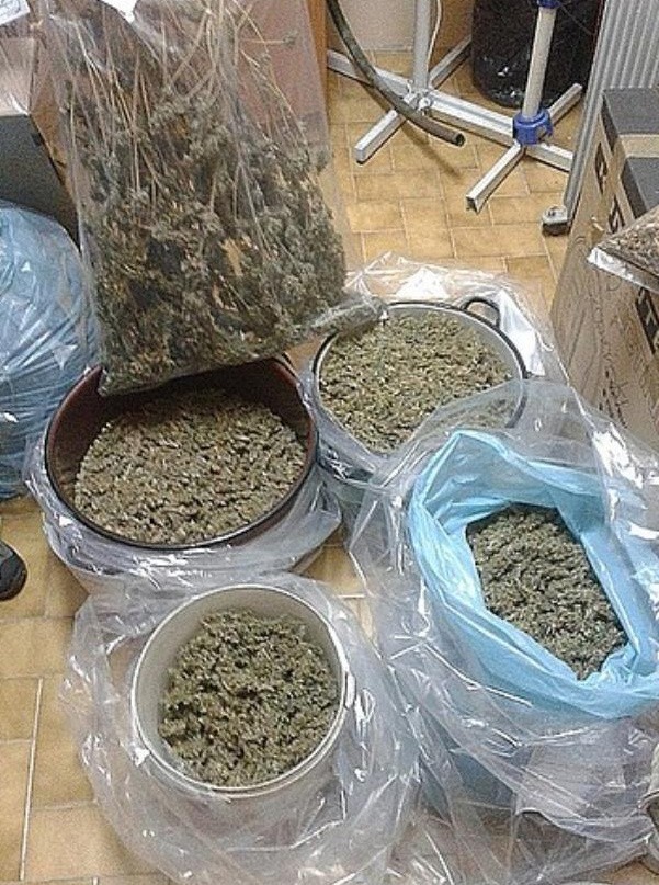 Policjanci zabezpieczyli siedem kilogramów narkotyków…