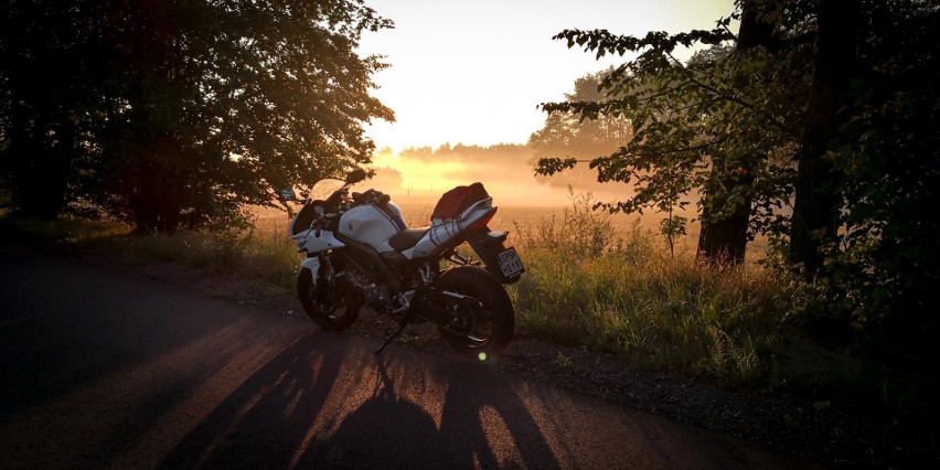 Suzuki SV650, 2009