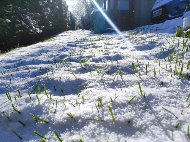 W Zakopanem spadł śnieg