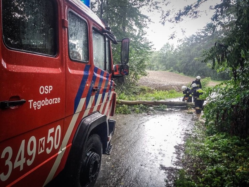 Akcja OSP Tęgoborze w miejscowościach Świdnik i Skrzętla