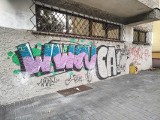 Brzeskie mury - graffiti, tagi, wyznania miłosne, a nawet sentencje życiowe. Tak wyglądają budynki w mieście [ZDJĘCIA, WIDEO]