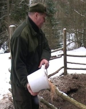 Dzięki pomocy człowieka leśna zwierzyna przetrwa trudny czas zimy i przedwiośnia. Paśnik w okolicy poligonu drawskiego zapełniany jest właśnie zwierzęcymi przysmakami. 