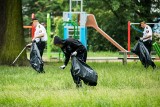 Sprzątanie Bydgoszczy coraz bardziej popularne. Już dziś akcja na Miedzyniu