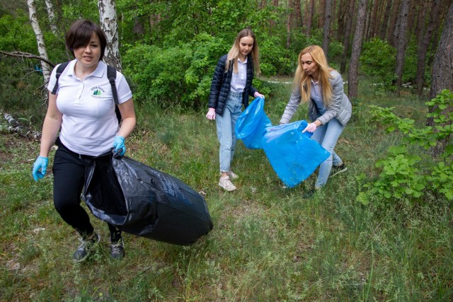 Ósma edycja akcji „Czysta Puszcza Bydgoska” rozpoczęta! Trwa do niedzieli (7 VI) godz. 20. W tym roku po raz pierwszy akcja sprzątania oficjalnie obejmuje nie tylko teren Puszczy Bydgoskiej, ale także Myślęcinka.