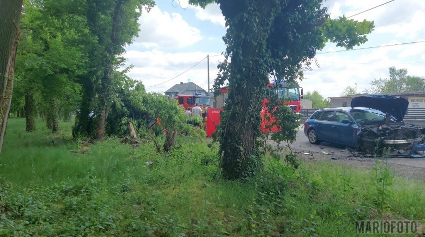 Na miejscu wypadku nadal pracują policjanci, którzy ustalają...